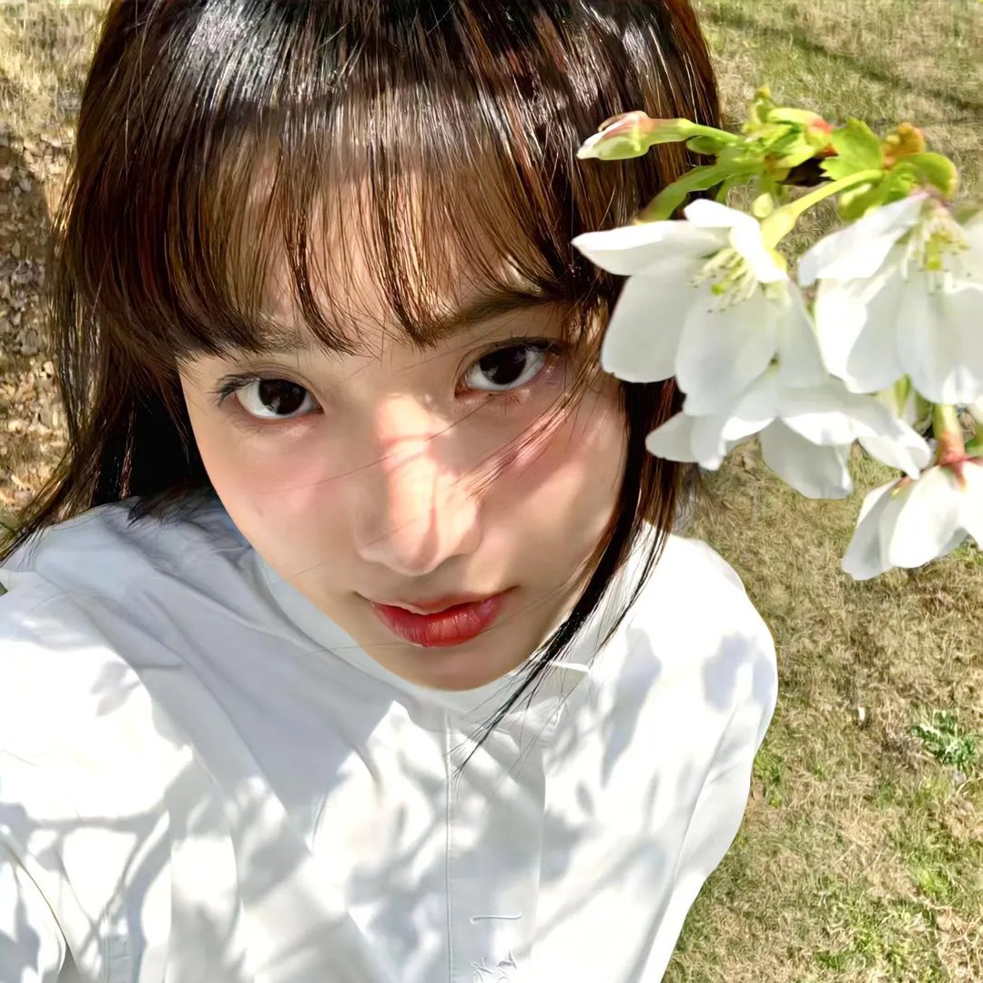 牙斗兽娘
